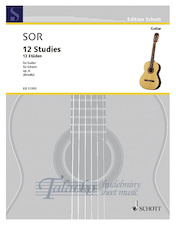 12 Studies for Guitar